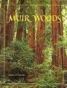 Muir Woods: The Ancient Redwood Forest Near San Francisco,Used