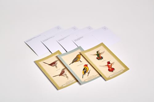 Sibley Backyard Birding Postcards: 100 Postcards (Sibley Birds),New