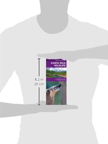 Costa Rica Wildlife: A Folding Pocket Guide to Familiar Species (A Pocket Naturalist Guide),Used