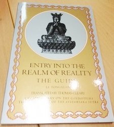 Entry Into The Realm Of Reality: The Guide,New