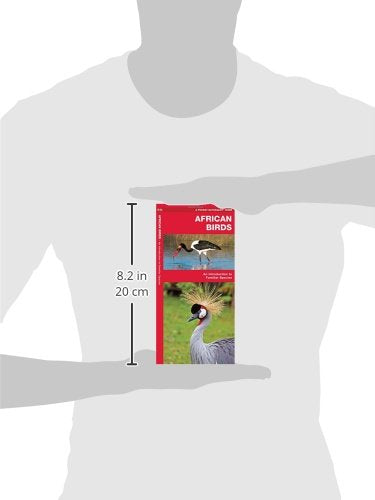 Africa Birds: A Folding Pocket Guide to Familiar Species (Wildlife and Nature Identification),Used