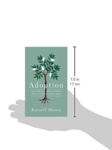 Adoption: What Joseph of Nazareth Can Teach Us about This Countercultural Choice,Used