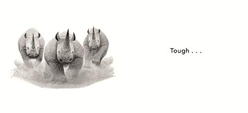 Lovely Beasts: The Surprising Truth,Used