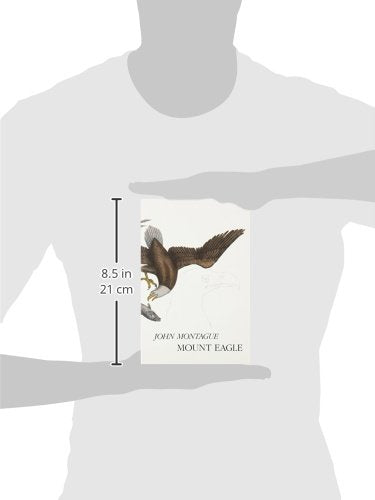 Mount Eagle,Used
