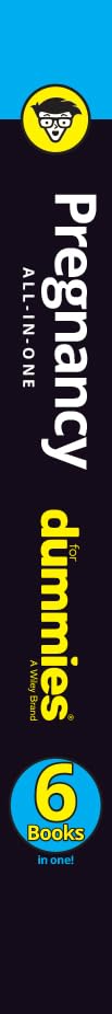 Pregnancy AllInOne for Dummies (For Dummies (Health & Fitness)),Used