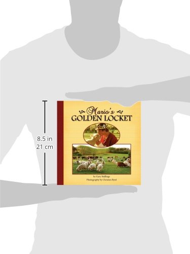 Mario's Golden Locket,Used