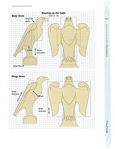Wood Carving: Projects and Techniques (Fox Chapel Publishing) Comprehensive Reference with 24 Projects, Popular Articles, and Ex,Used