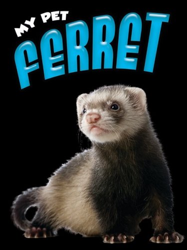 Ferret (My Pet),Used