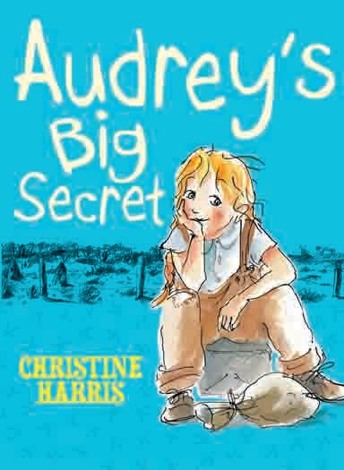 Audrey's Big Secret,Used