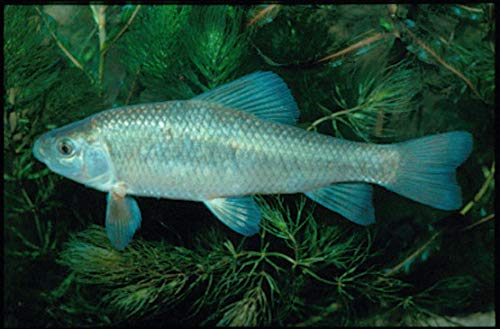 Wild Ohio: The Best of Our Natural Heritage,Used