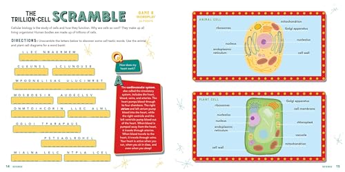 Awesome Brain Games for Kids: STEAM Puzzles and Facts for Curious Minds,Used