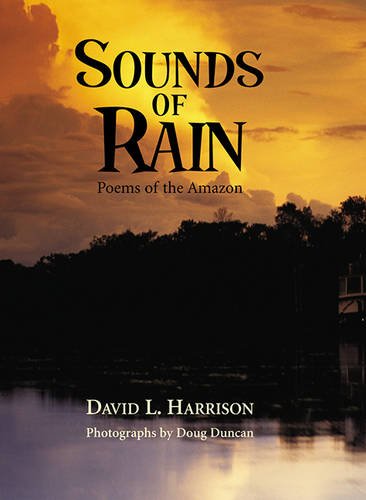 Sounds of Rain,Used
