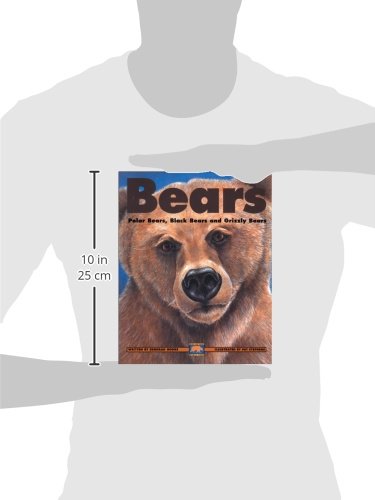 Bears: Polar Bears, Black Bears and Grizzly Bears (Kids Can Press Wildlife Series),Used
