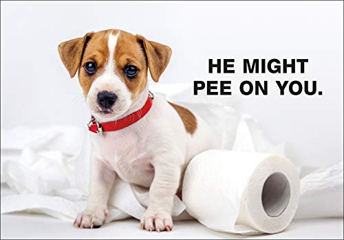 Fire and Furry: Pets Get Political,Used