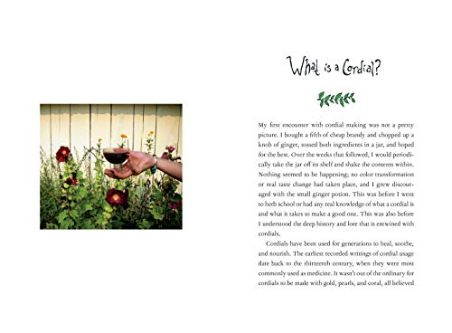 Blotto Botany: A Lesson in Healing Cordials and Plant Magic,Used