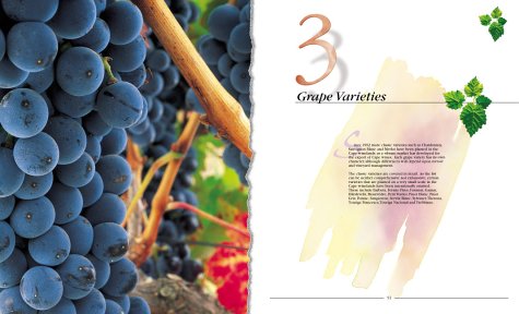 Wines and Brandies of the Cape of Good Hope: The Definitive Guide to the South African Wine Industry,Used