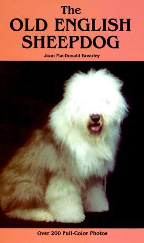 Old English Sheepdog,Used