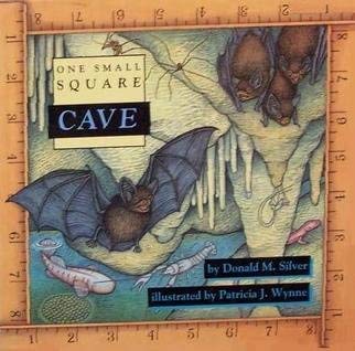 Cave (One Small Square),Used