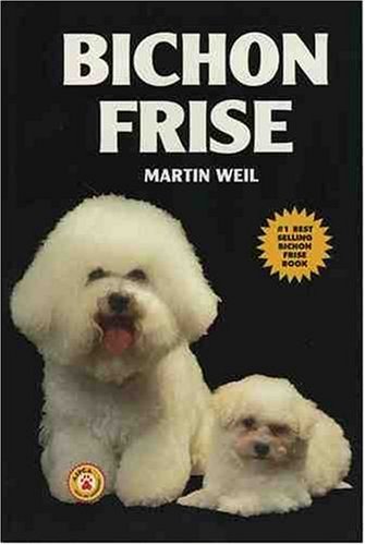 Bichon Frise,Used