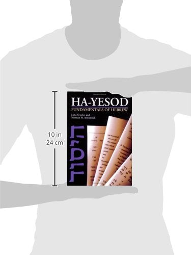 Hayesod: Fundamentals of Hebrew (English and Hebrew Edition),Used