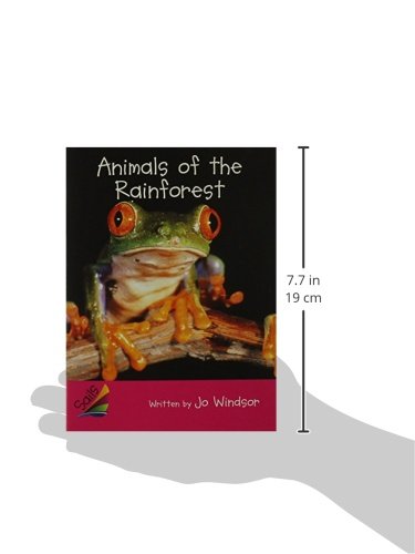 Animals of the Rainforest: Student Reader (Sails: EmergentMagenta),Used