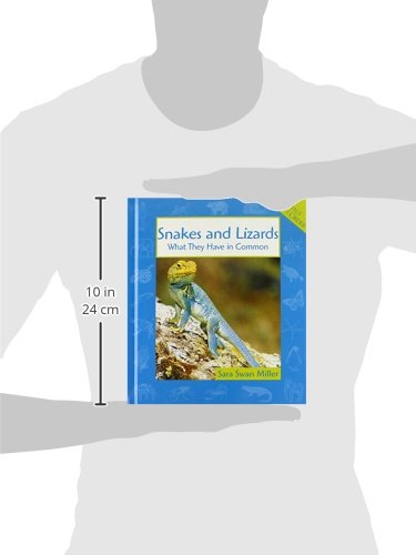 Snakes and Lizards: What They Have in Common (Animals in Order),Used