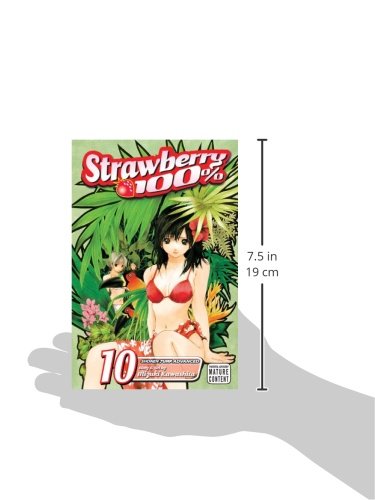 Strawberry 100%, Vol. 10 (10),Used