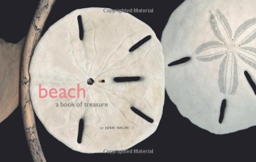 Beach: A Book Of Treasures,Used