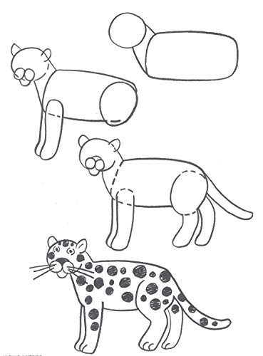 How to Draw Animals: Easy StepbyStep Drawings! (Dover How to Draw),Used