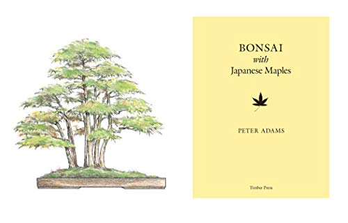 Bonsai With Japanese Maples,Used