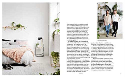Plant Style: How to Greenify Your Space,Used
