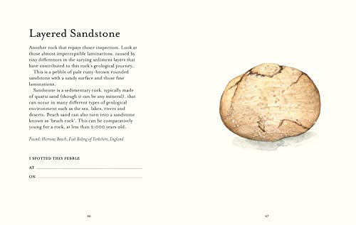 The Pebble Spotter's Guide,Used