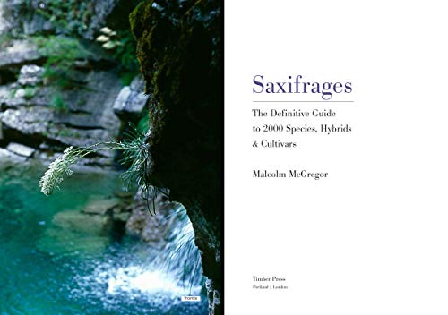 Saxifrages: The Definitive Guide To 2000 Species, Hybrids & Cultivars,Used