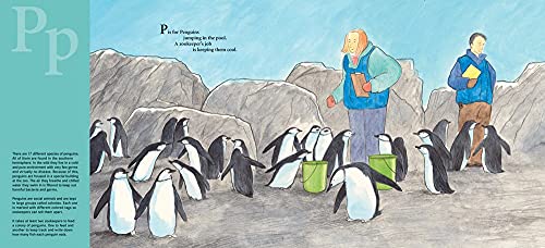 Z Is for Zookeeper: A Zoo Alphabet (Science Alphabet),Used