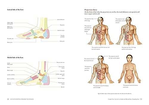 Gua Sha Scraping Massage Techniques: A Natural Way of Prevention and Treatment through Traditional Chinese Medicine,New