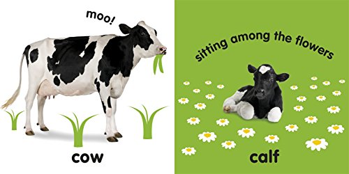 Baby Touch And Feel: Farm Animals,New