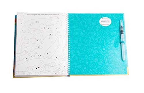 Magical Water Painting: Under the Sea: (Art Activity Book, Books for Family Travel, Kids' Coloring Books, Magic Color and Fade) ,Used