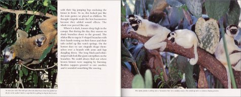 Lemurs: On Location (On Location Series),Used