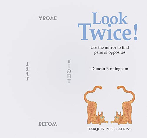 Look Twice: Use the Mirror to Find Pairs of Opposites,Used