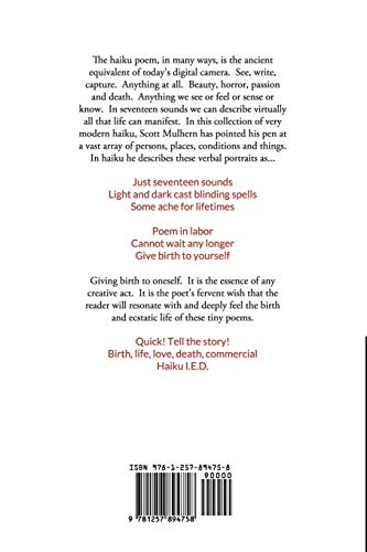 Seventeen Steps to the Edge: Haikus from Heaven, Haikus from Hell,Used