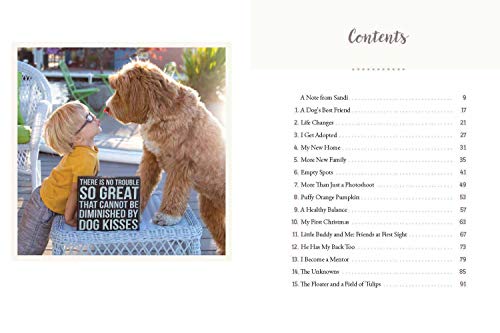 Reagandoodle and Little Buddy: The True Story of a Labradoodle and His Toddler Best Friend (Adventures of Reagandoodle and Littl,New