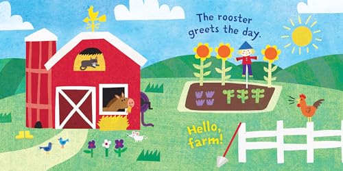 Indestructibles: Hello, Farm!: Chew Proof ? Rip Proof ? Nontoxic ? 100% Washable (Book for Babies, Newborn Books, Safe to Chew),New