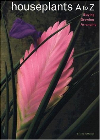 Houseplants A To Z: Buying, Growing, Arranging
