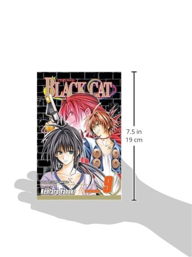 Black Cat, Vol. 9,Used