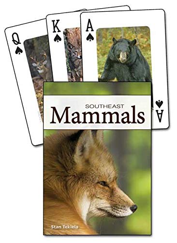 Mammals Of The Southeast Playing Cards (Nature'S Wild Cards),Used