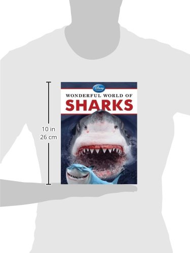 Wonderful World of Sharks,Used