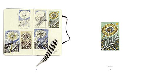 Angie Lewin: Plants and Places,Used