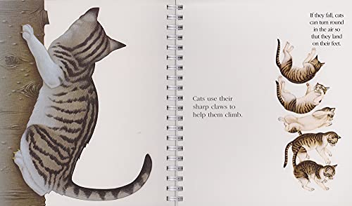 Cats (My First Discoveries),Used
