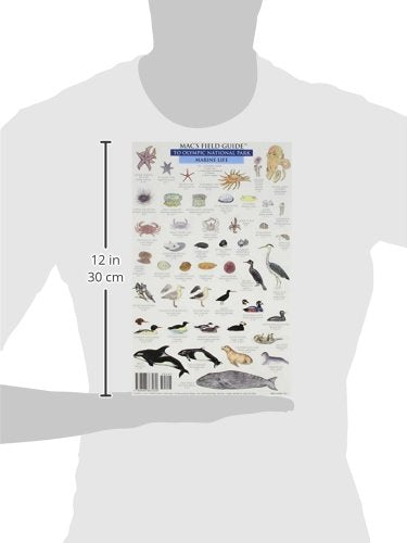 Mac's Field Guide To Olympic National Park: Land Animals / Marine Life,Used