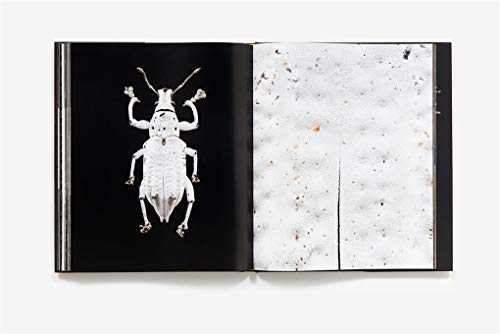 Microsculpture: Portraits of Insects,New